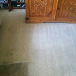 Bedroom-Carpet-Cleaning