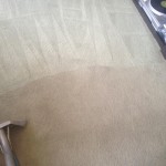 Bellevue-Carpet-Cleaning-Company