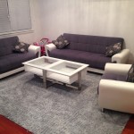 Bellevue-Upholstery-Cleaning