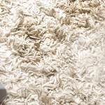 Carpet-Cleaning-Bellevue1