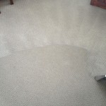 Wall-To-Wall-Carpet-Cleaning-Bellevue